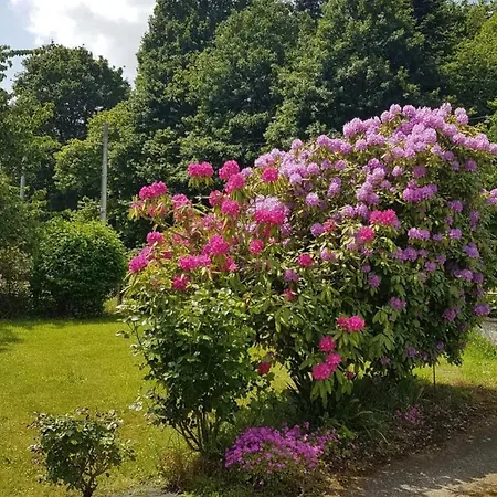 بيت للعطل Maison De Charme A Avec Jardin Cloture Québriac